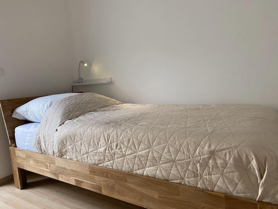 Neu Apartment In Schloss Naehe,Parkplatz, Netflix Sögel Eksteriør billede